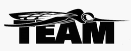 TEAM trademark