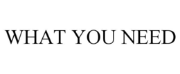 WHAT YOU NEED trademark