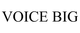 VOICE BIG trademark