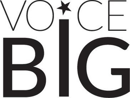 VOICE BIG trademark