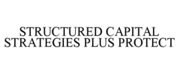 STRUCTURED CAPITAL STRATEGIES PLUS PROTECT trademark