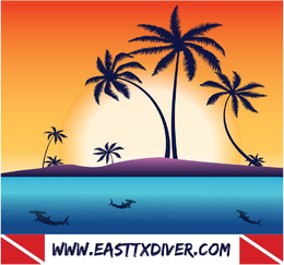 WWW.EASTTXDIVER.COM trademark