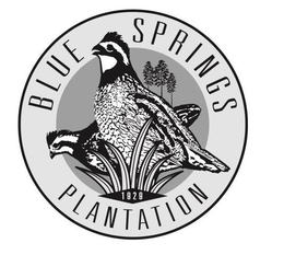 BLUE SPRINGS PLANTATION 1929 trademark