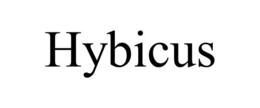 HYBICUS trademark