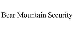 BEAR MOUNTAIN SECURITY trademark