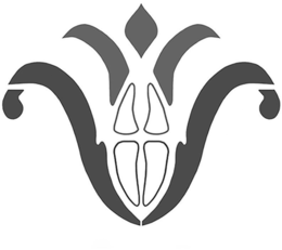 V trademark