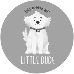 BIG WORLD OF LITTLE DUDE trademark