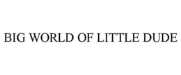 BIG WORLD OF LITTLE DUDE trademark