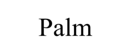 PALM trademark