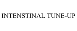 INTENSTINAL TUNE-UP trademark