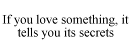 IF YOU LOVE SOMETHING, IT TELLS YOU ITS SECRETS trademark