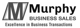 M MURPHY BUSINESS SALES EXCELLENCE IN BUSINESS TRANSACTIONS trademark
