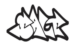 SALT trademark