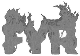 FYR trademark