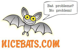 BAT PROBLEMS? NO PROBLEM. NICEBATS.COM trademark