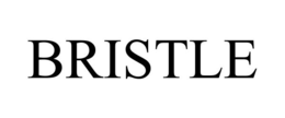 BRISTLE trademark