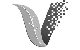 V trademark
