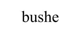 BUSHE trademark