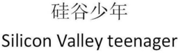 SILICON VALLEY TEENAGER trademark