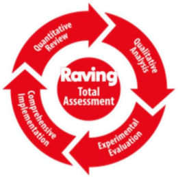 RAVING TOTAL ASSESSMENT QUANTITATIVE REVIEW QUALITATIVE ANALYSIS EXPERIMENTAL EVALUATION COMPREHENSIVE IMPLEMENTATION trademark