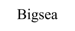 BIGSEA trademark