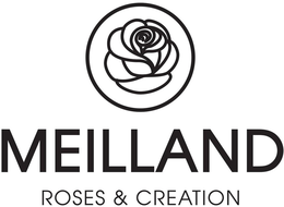 MEILLAND ROSES & CREATION trademark