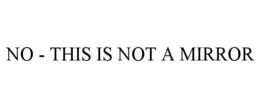 NO - THIS IS NOT A MIRROR trademark