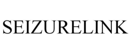 SEIZURELINK trademark