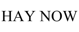 HAY NOW trademark