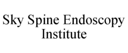 SKY SPINE ENDOSCOPY INSTITUTE trademark