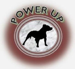 POWER UP trademark