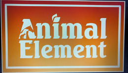 ANIMAL ELEMENT trademark