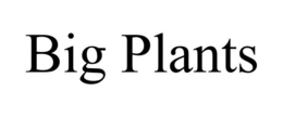 BIG PLANTS trademark