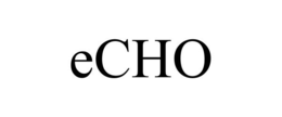 ECHO trademark