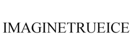 IMAGINETRUEICE trademark