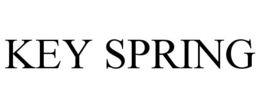 KEY SPRING trademark