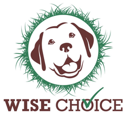 WISE CHOICE trademark