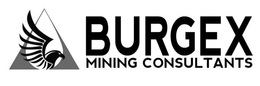 BURGEX MINING CONSULTANTS trademark