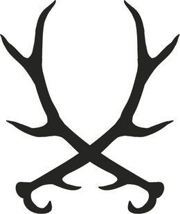 X trademark