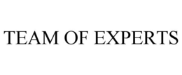 TEAM OF EXPERTS trademark