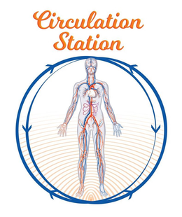CIRCULATION STATION trademark