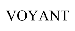 VOYANT trademark