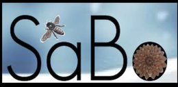 SABO trademark