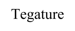 TEGATURE trademark