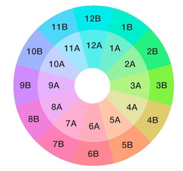 1B 2B 3B 4B 5B 6B 7B 8B 9B 10B 11B 12B 1A 2A 3A 4A 5A 6A 7A 8A 9A 10A 11A 12A trademark