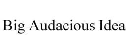 BIG AUDACIOUS IDEA trademark