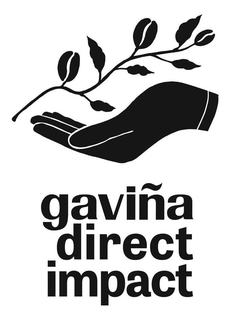 GAVIÑA  DIRECT IMPACT trademark