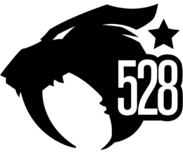 528 trademark