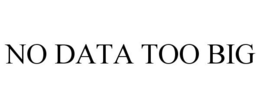 NO DATA TOO BIG trademark