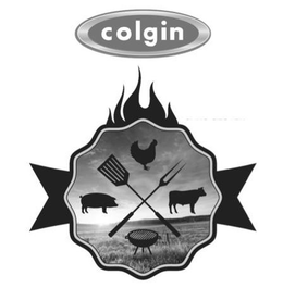 COLGIN trademark